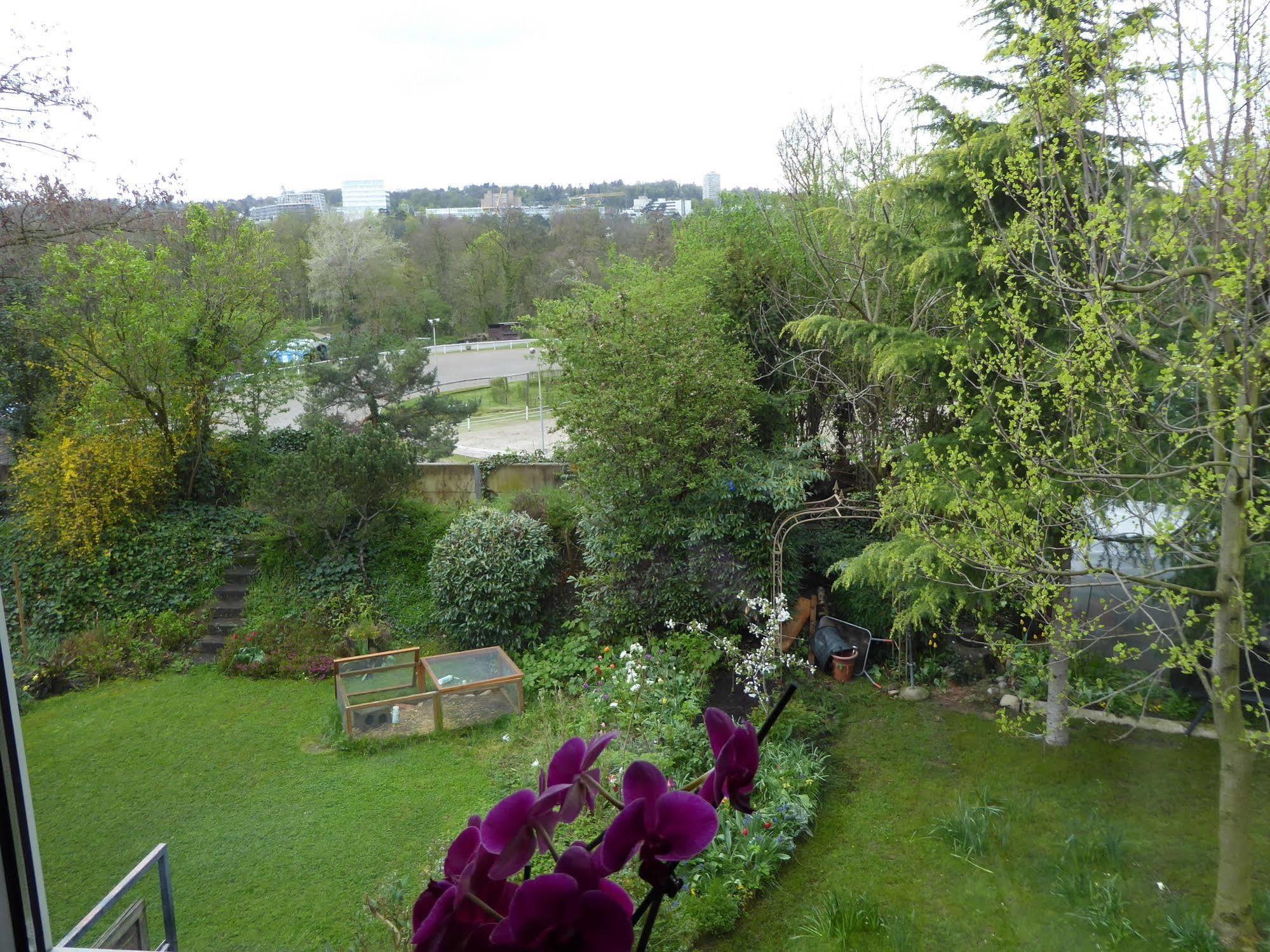 B&B Pappelweg - 2 Муттенц Экстерьер фото